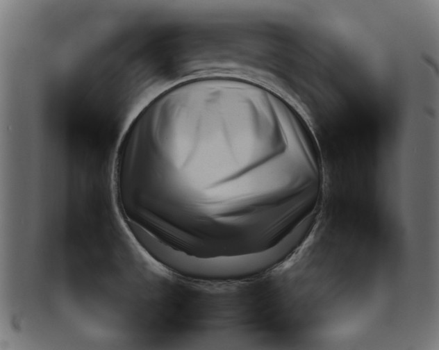 X0000091221533200709061449