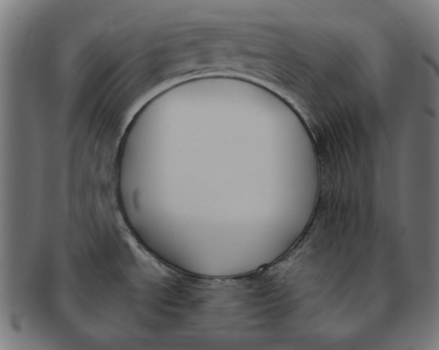 X0000091221534200709061449