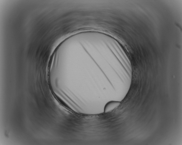 X0000091221535200709061449