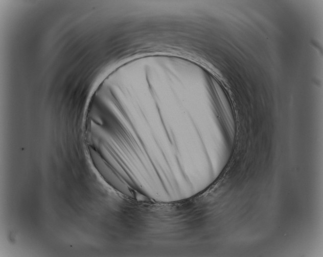 X0000091221536200709061449