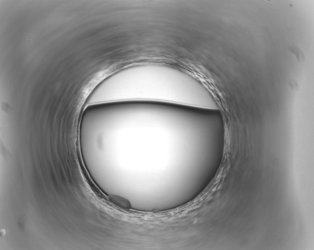 X0000091230003200708091121