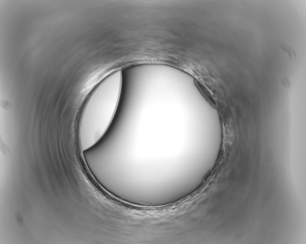X0000091230005200708091121