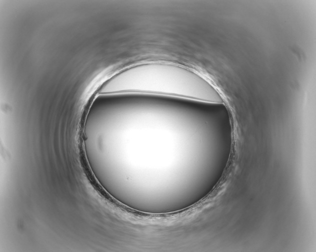 X0000091230007200708091121