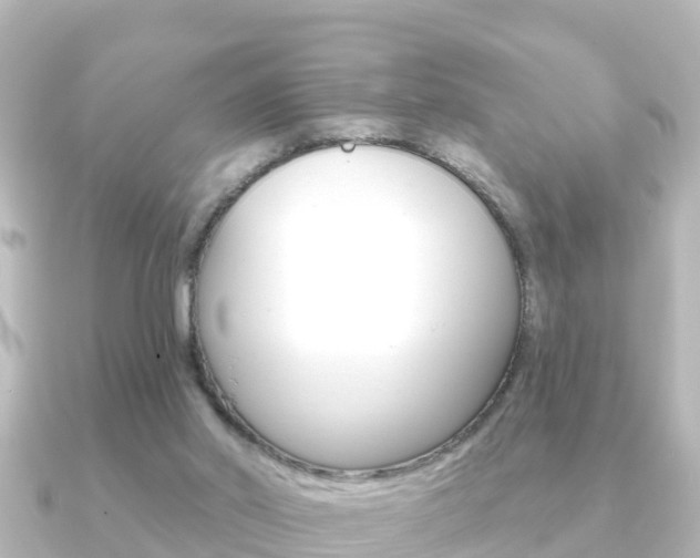 X0000091230014200708091121