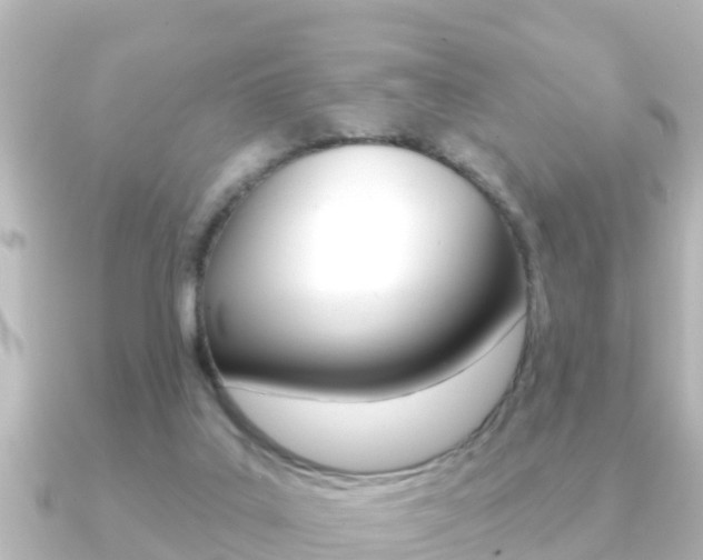 X0000091230019200708091121