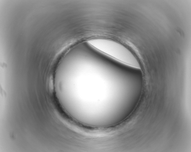 X0000091230020200708091121