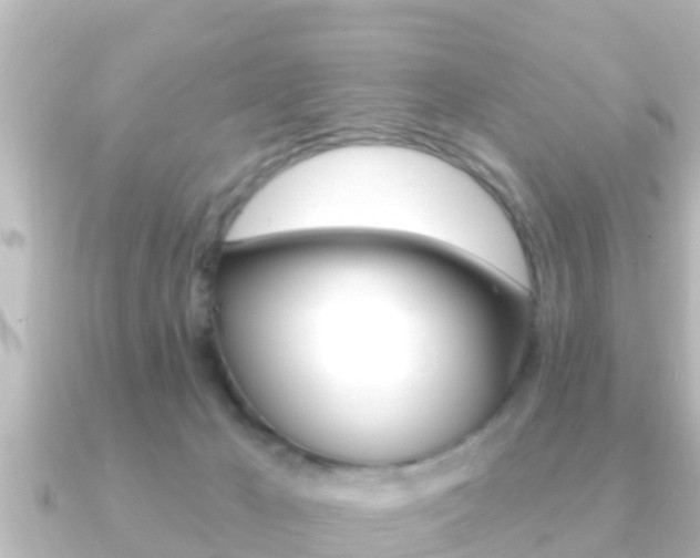 X0000091230029200708091121