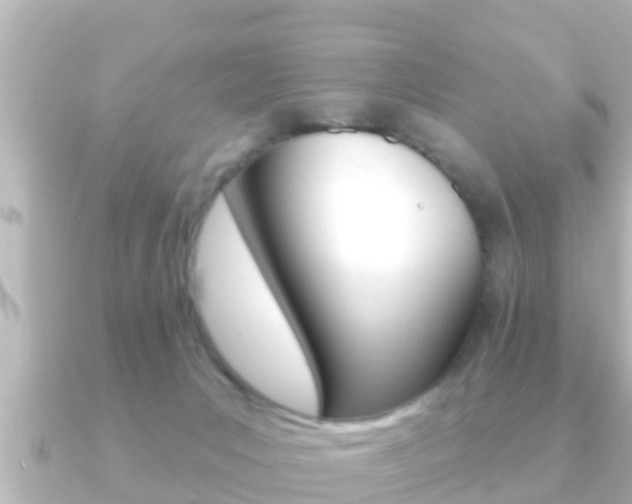 X0000091230031200708091121