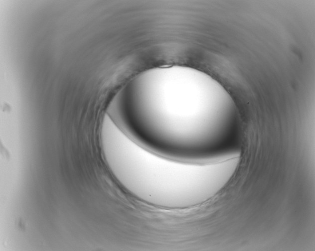X0000091230039200708091121