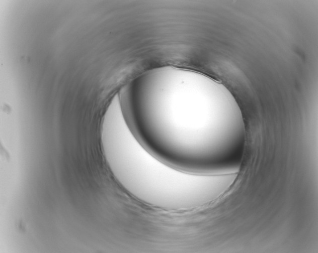 X0000091230041200708091121