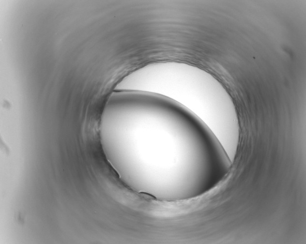 X0000091230045200708091121