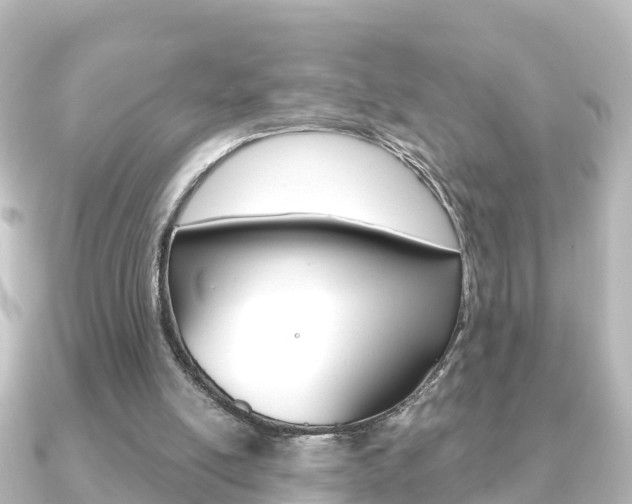 X0000091230054200708091120