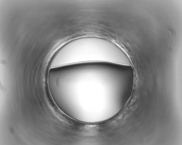X0000091230055200708091120