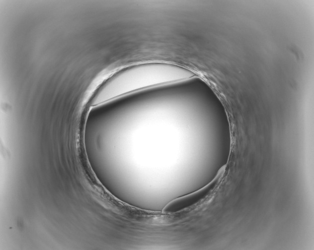 X0000091230056200708091120