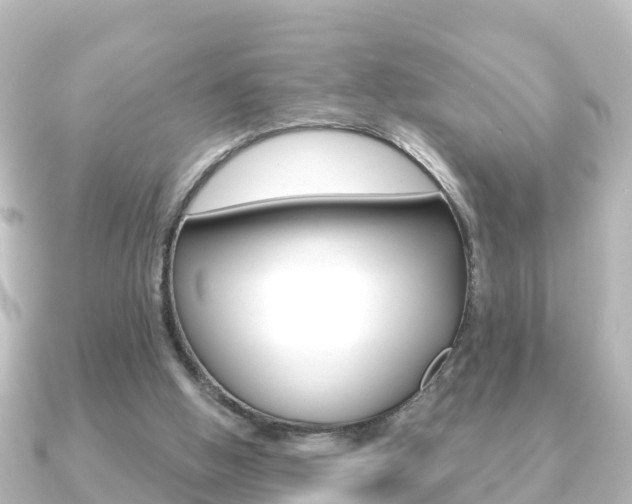 X0000091230058200708091120