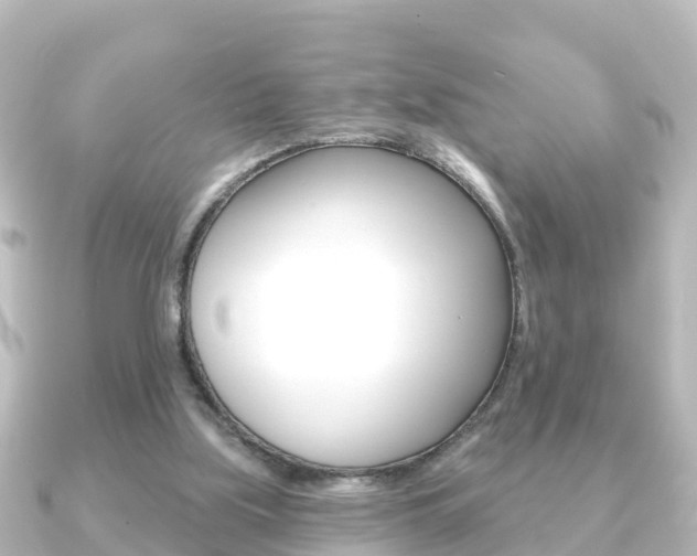 X0000091230059200708091120
