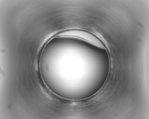 X0000091230060200708091120