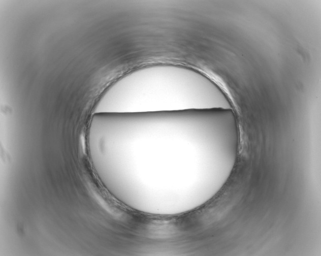 X0000091230061200708091120