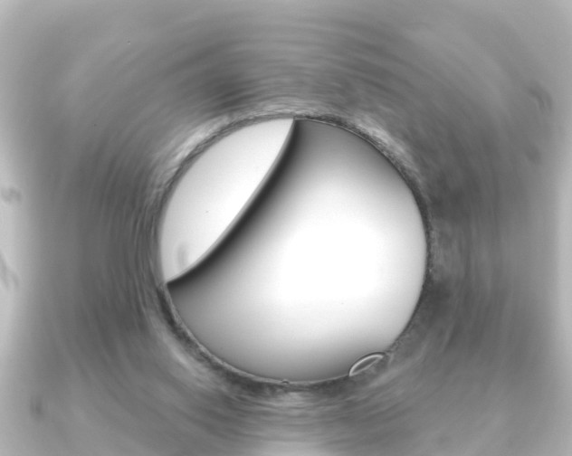 X0000091230062200708091120