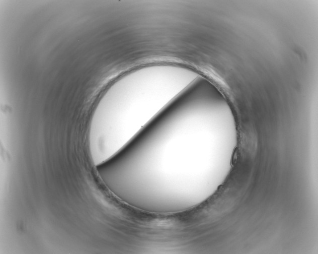 X0000091230063200708091120