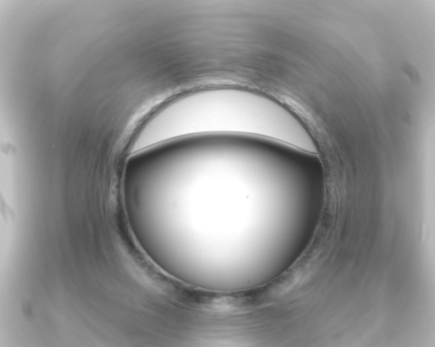 X0000091230064200708091120