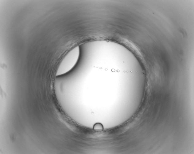 X0000091230065200708091121