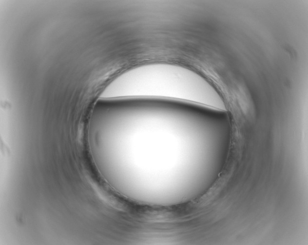 X0000091230066200708091121
