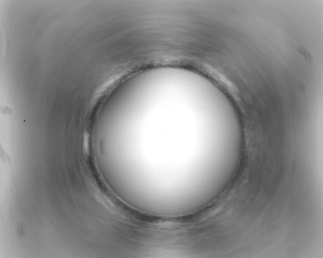 X0000091230067200708091121