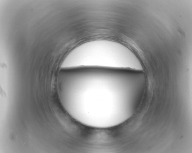 X0000091230073200708091121