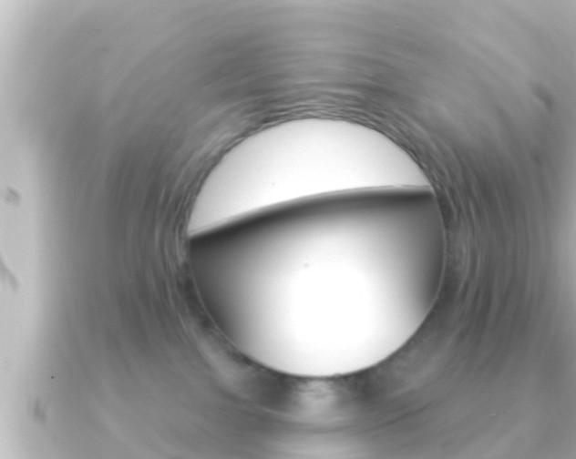 X0000091230091200708091121