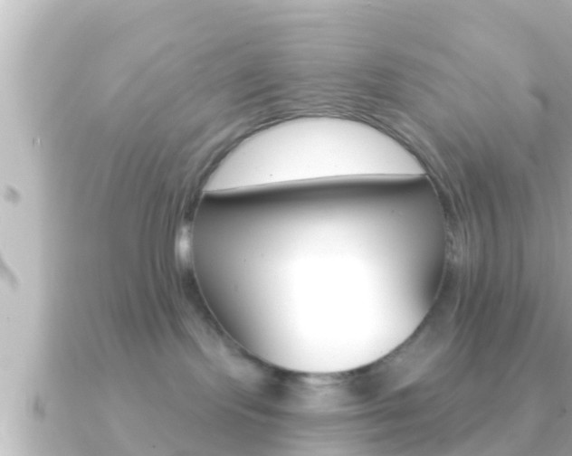 X0000091230095200708091121