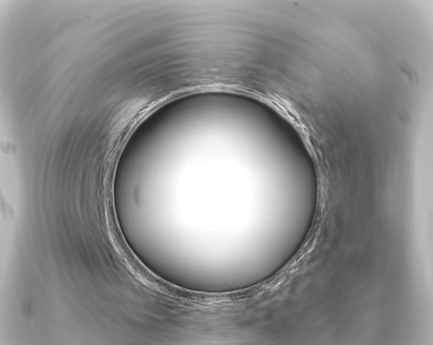 X0000091230097200708091120