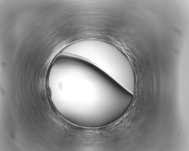 X0000091230099200708091120