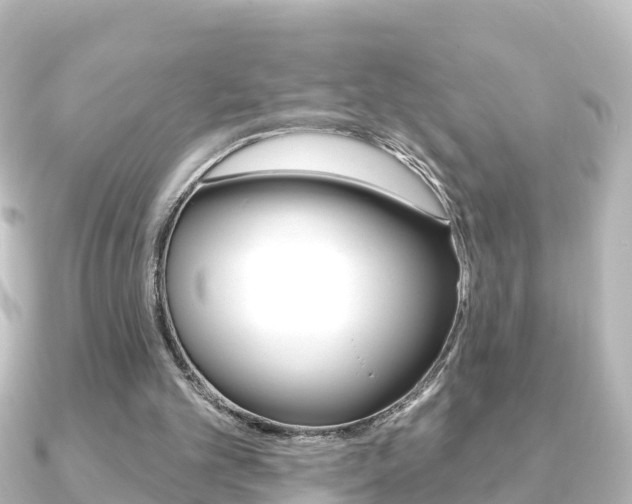 X0000091230101200708091120
