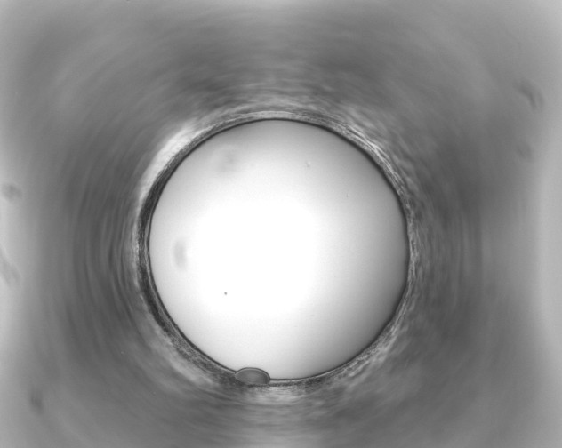 X0000091230102200708091120
