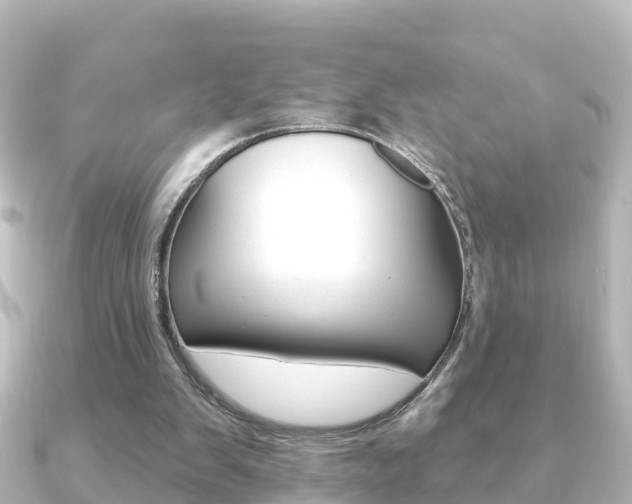 X0000091230103200708091120