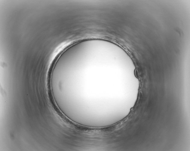 X0000091230104200708091120