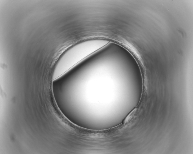 X0000091230105200708091120