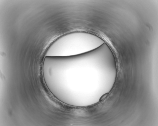 X0000091230106200708091120