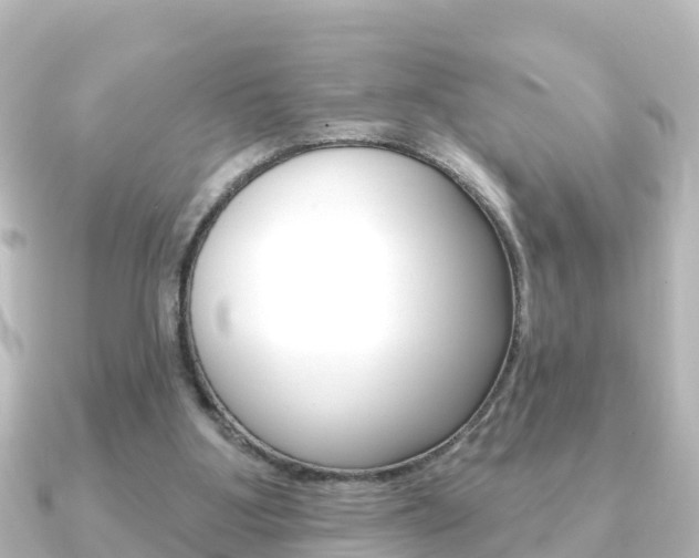 X0000091230107200708091120