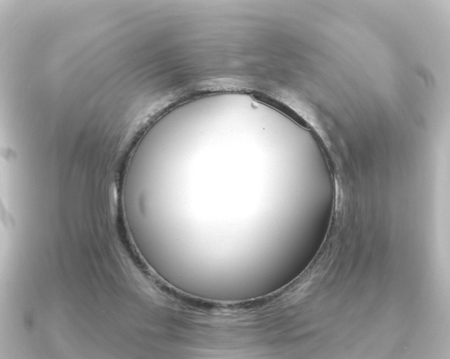 X0000091230109200708091120