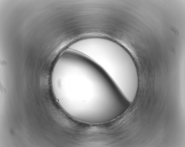 X0000091230111200708091120