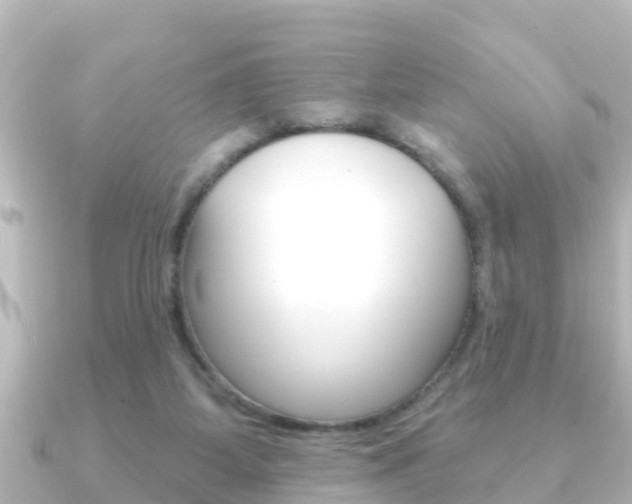X0000091230115200708091120