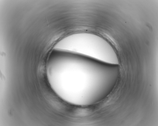 X0000091230119200708091120