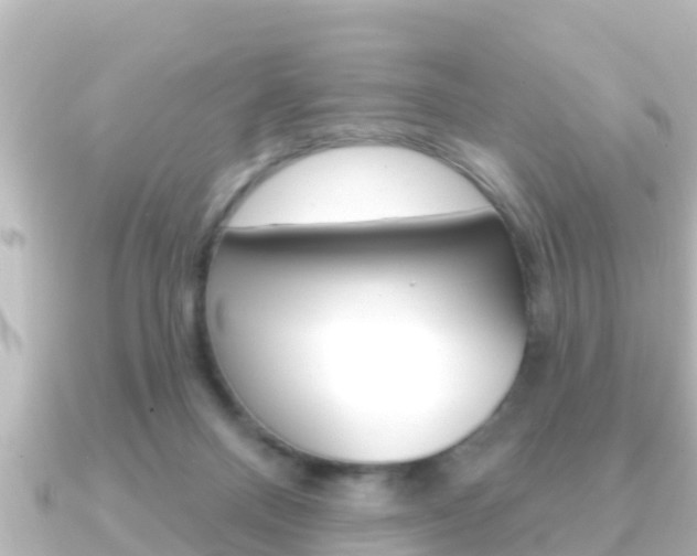 X0000091230120200708091120