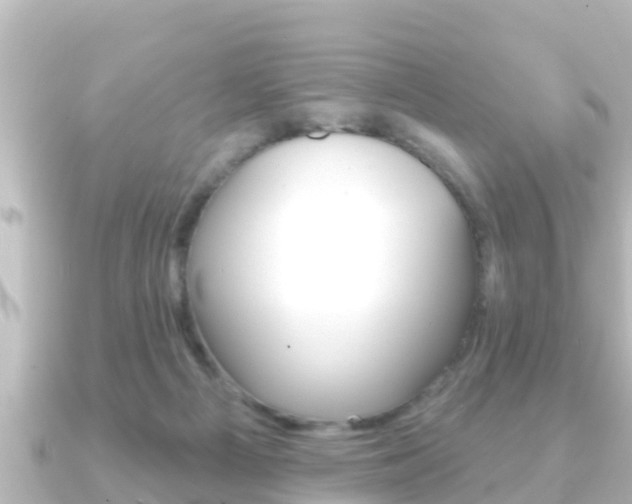 X0000091230121200708091120