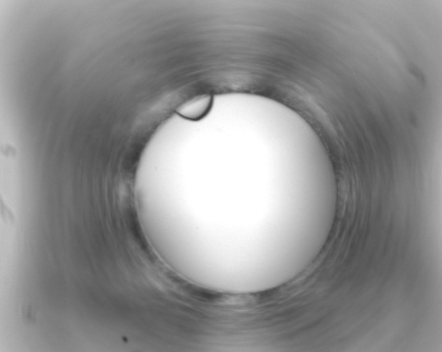 X0000091230126200708091120