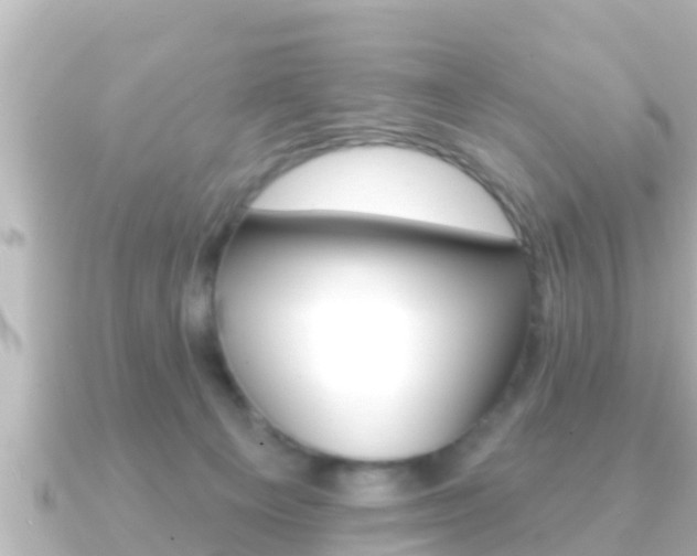 X0000091230129200708091120