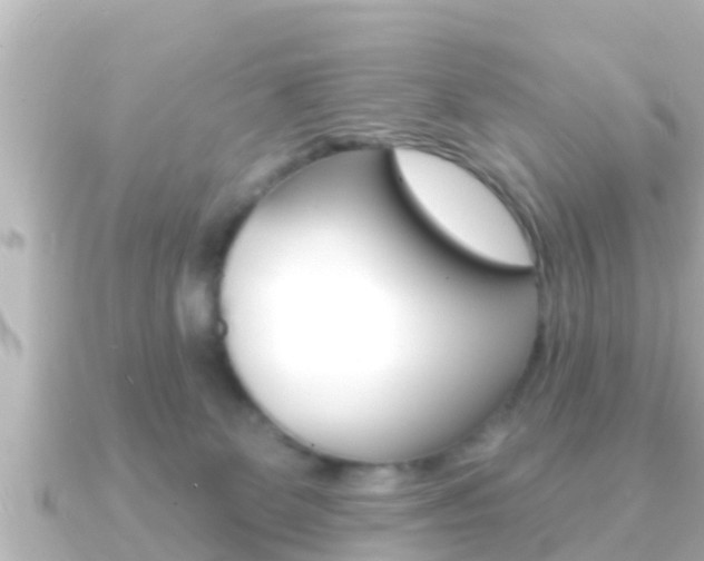 X0000091230131200708091120