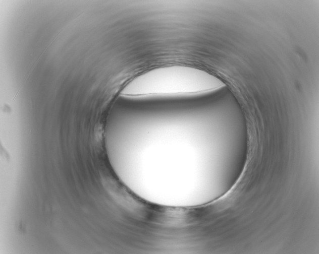 X0000091230144200708091120